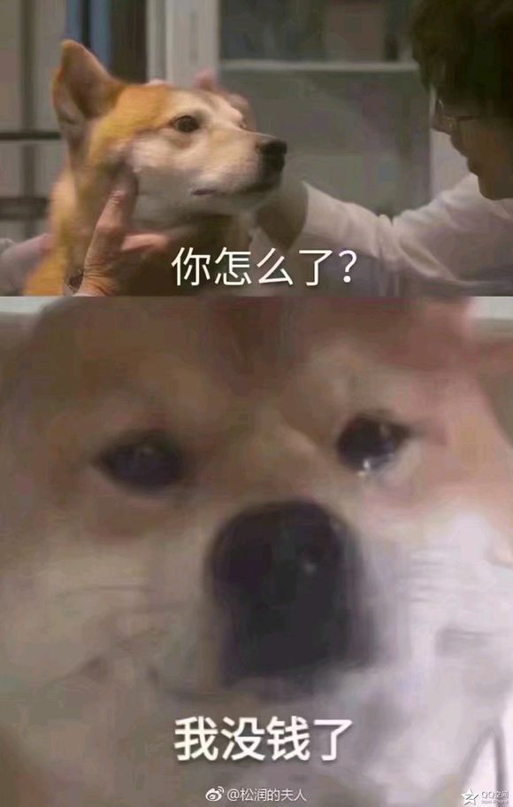 Z0Xvnzpi91t2p9T2.jpg